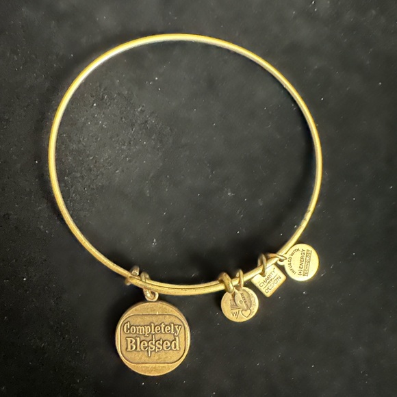 Alex and Ani Jewelry - Alex and Ani bracelet